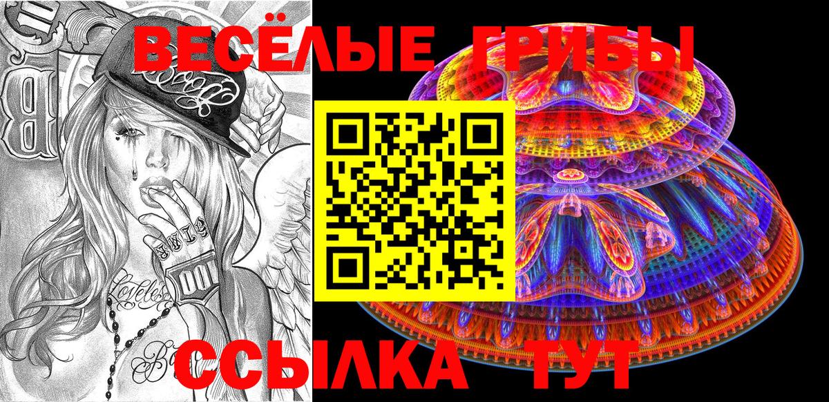 Псилоцибиновые грибы MAGIC MUSHROOMS  Галлюциногенные грибы Magic Shrooms  Дюртюли  где продают наркотики  Вход с VPN 